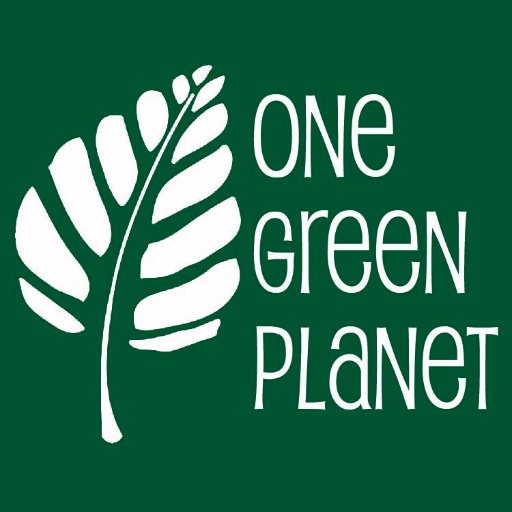 One Green Planet Daphne Goh Healthy gf Asian